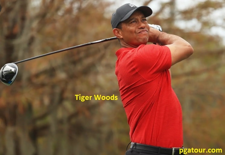 Tiger woods net worth